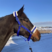 AB Kantar Griffin